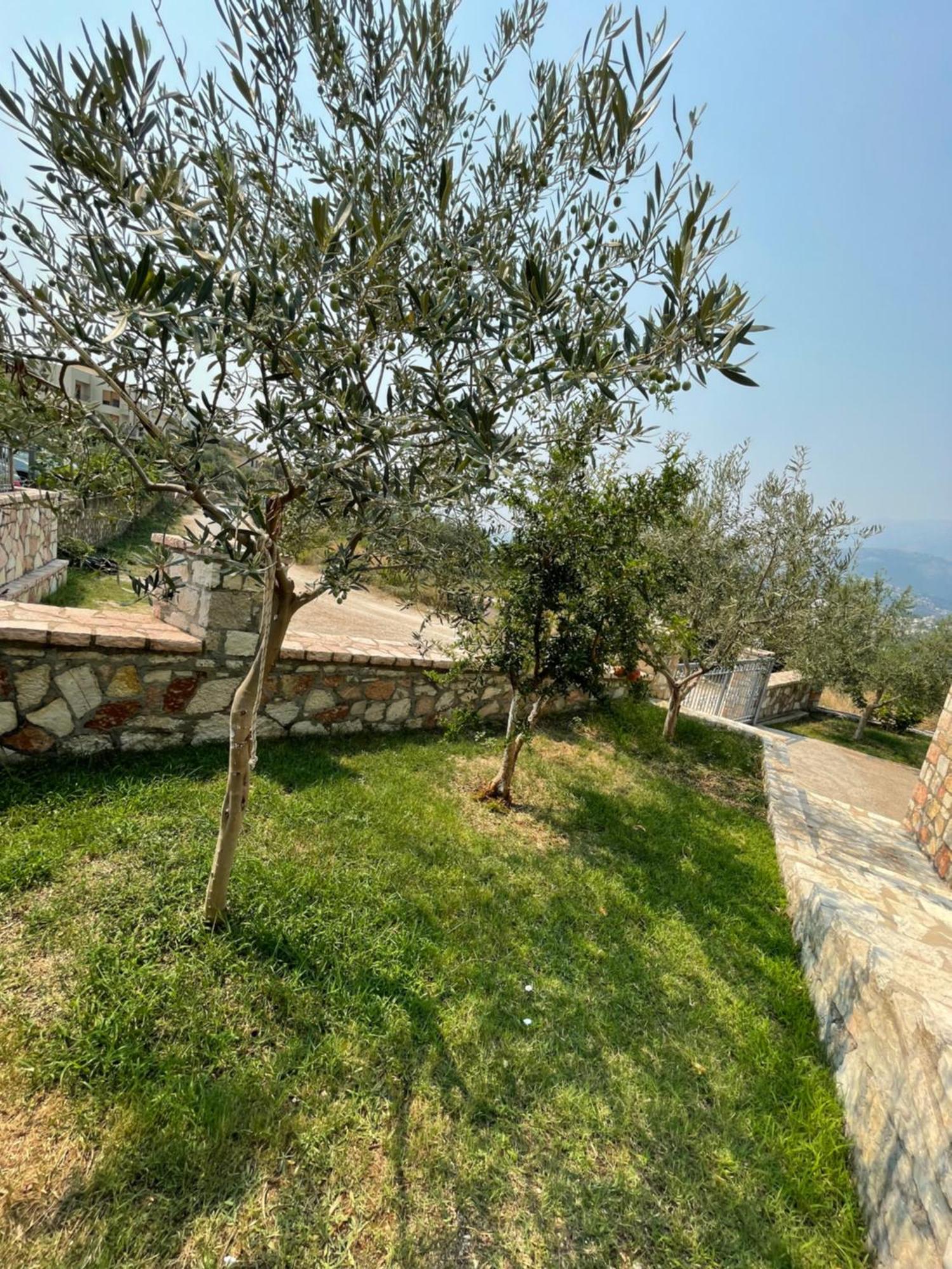 Belvedere Hotel & Suites Himarë Exteriér fotografie