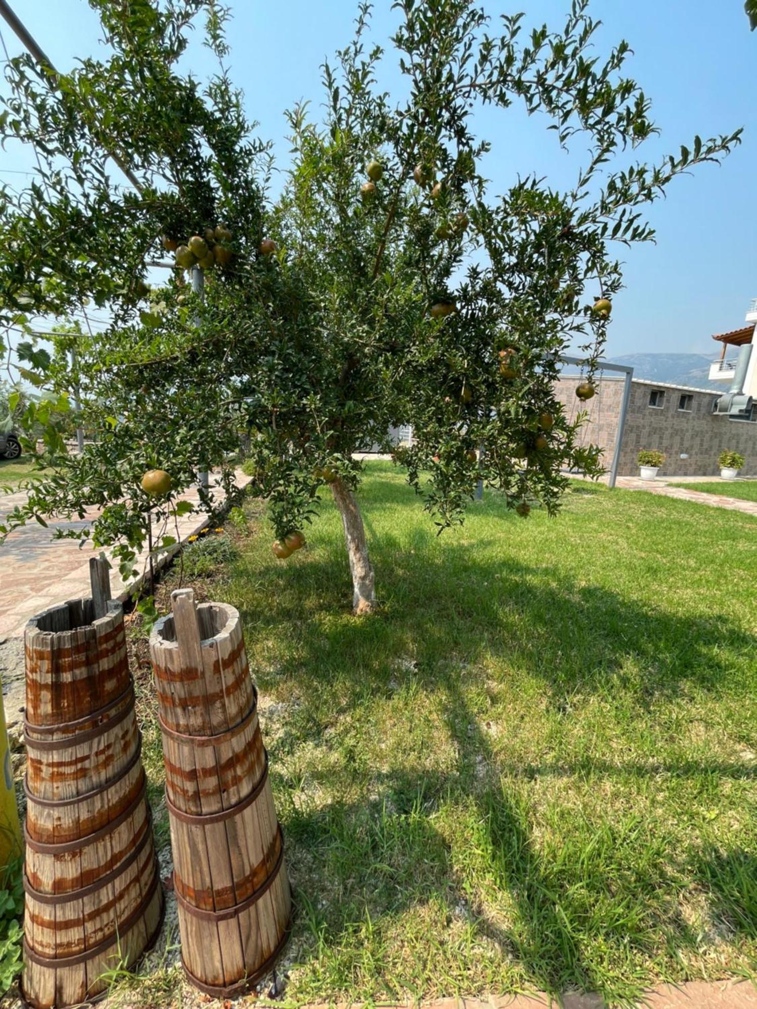 Belvedere Hotel & Suites Himarë Exteriér fotografie